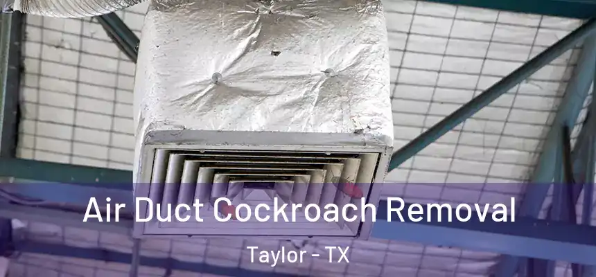  Air Duct Cockroach Removal Taylor - TX