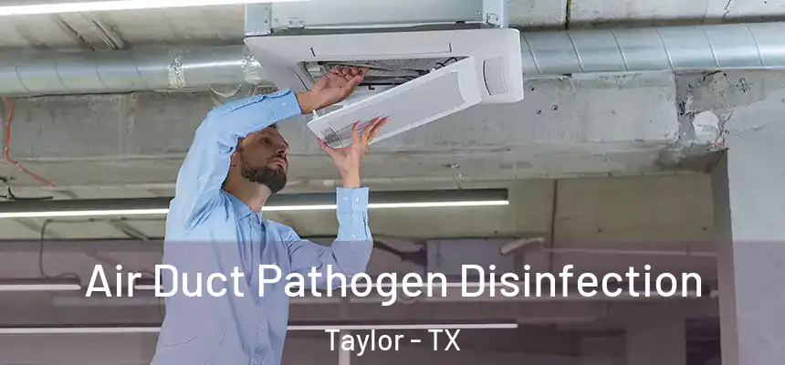  Air Duct Pathogen Disinfection Taylor - TX