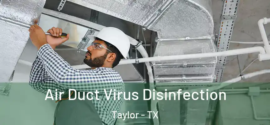  Air Duct Virus Disinfection Taylor - TX