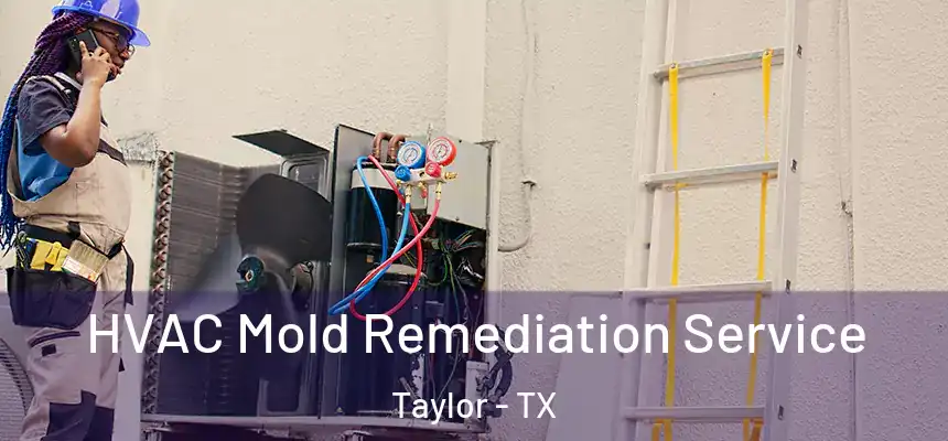  HVAC Mold Remediation Service Taylor - TX