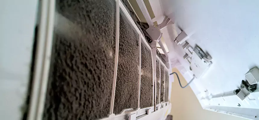 Preventive Air Duct Bacteria Removal in Taylor