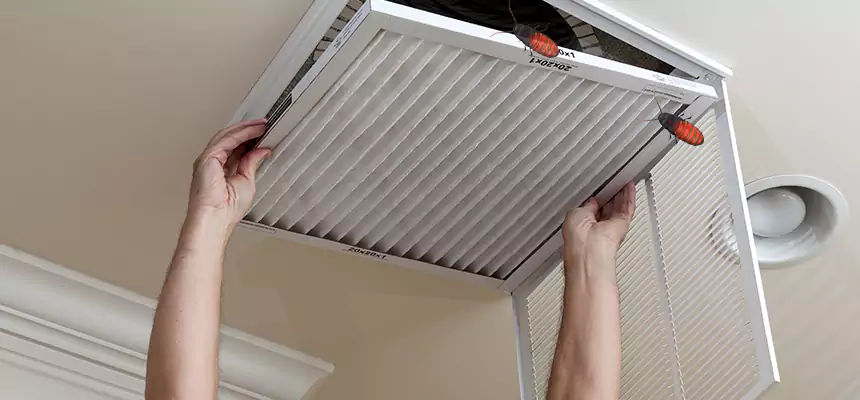 Our Insect Removal from Air Ducts Services in Taylor, TX