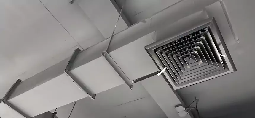 Our Rodent Droppings In Vents Services in Taylor, TX