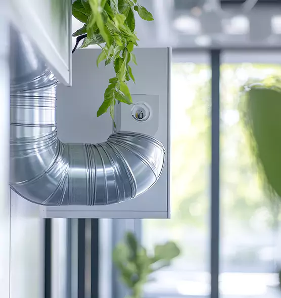 Professional Eco-Safe Dryer Vent Cleaning in Taylor, TX