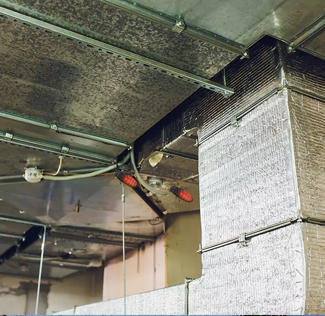 Why Homeowners & Businesses Trust Us in Taylor, TX?