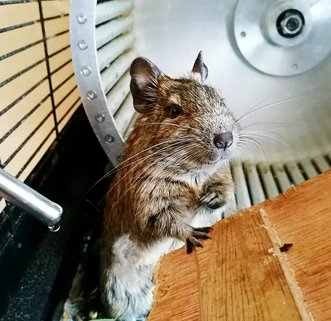 Why Homeowners & Businesses Trust Us Taylor, TX?