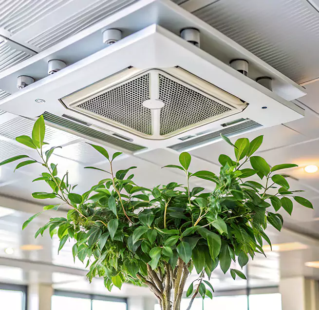 Why Homeowners & Businesses Trust Us in Taylor, TX